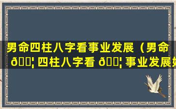 男命四柱八字看事业发展（男命 🐦 四柱八字看 🐦 事业发展好不好）